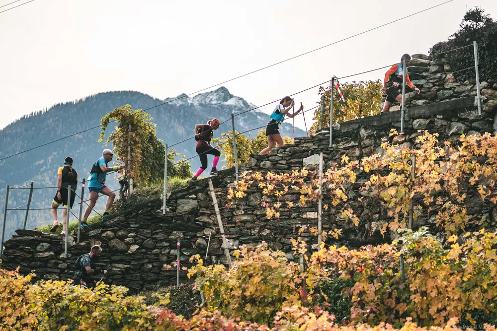 Tutto Pronto Per Il Valtellina Wine Trail